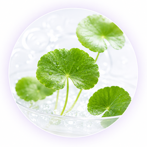 Centella Asiatica